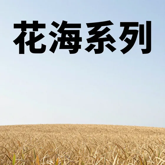 花海系列新品推荐