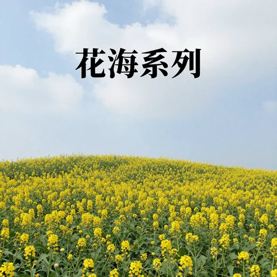花海系列